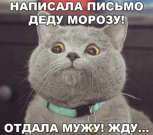 картинки прикольные про