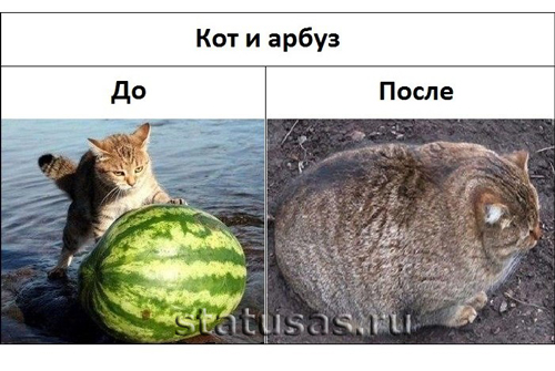 приколы фотки с надписями онлайн приколы фотки с надписями