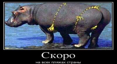 Шуточные картинки про лето Шуточные картинки про лето