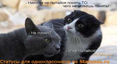 Статусы картинки осени бесплатно для одноклассников Статусы картинки осени бесплатно для одноклассников